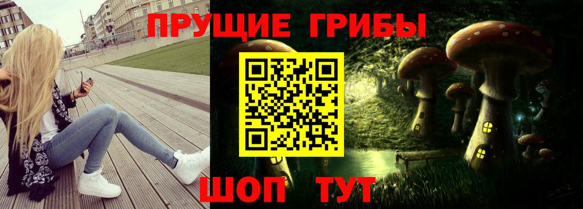 Галлюциногенные грибы Cubensis Алексеевка